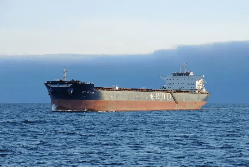 ROSEWOOD Bulk Carrier IMO 9448619 photo 3