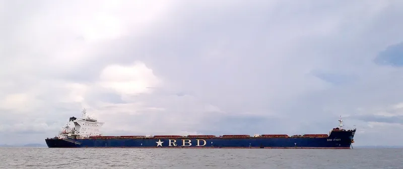 ROSEWOOD Bulk Carrier IMO 9448619 photo 4