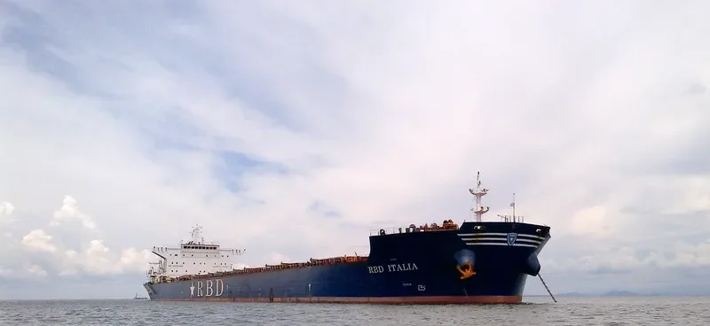ROSEWOOD Bulk Carrier IMO 9448619 photo 5