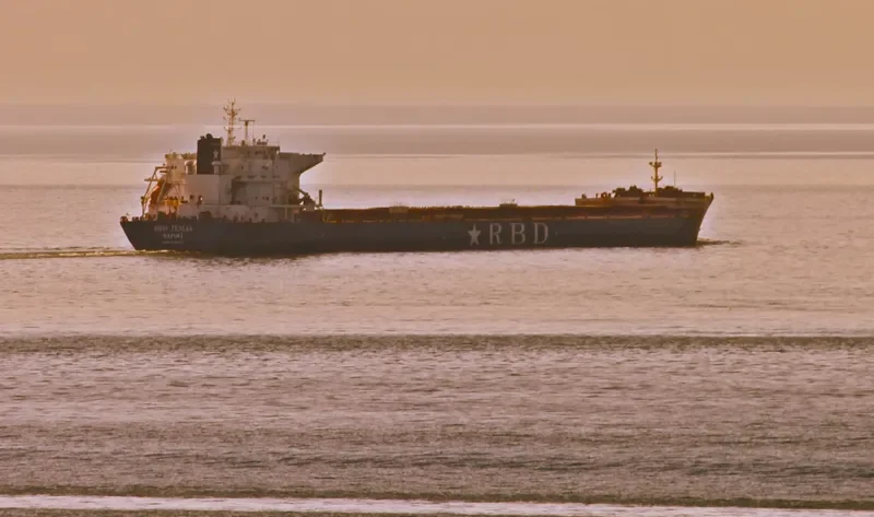 ROSEWOOD Bulk Carrier IMO 9448619 photo 7