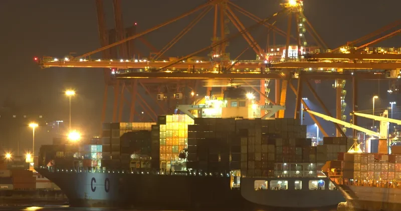 COSCO THAILAND Container Ship IMO 9448798 photo 2