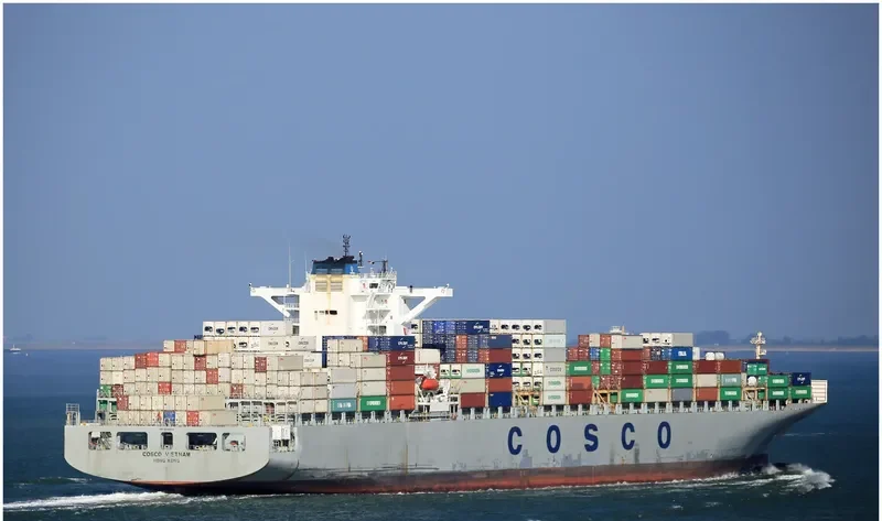 COSCO VIETNAM Container Ship IMO 9448815 photo 2