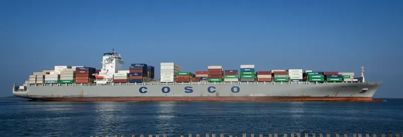 COSCO VIETNAM Container Ship IMO 9448815 photo 6