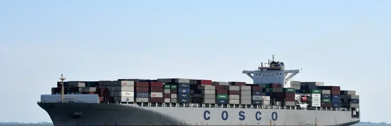 COSCO VIETNAM Container Ship IMO 9448815 photo 9