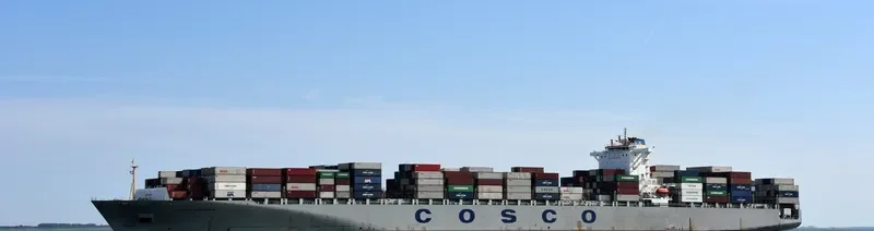 COSCO VIETNAM Container Ship IMO 9448815 photo 10