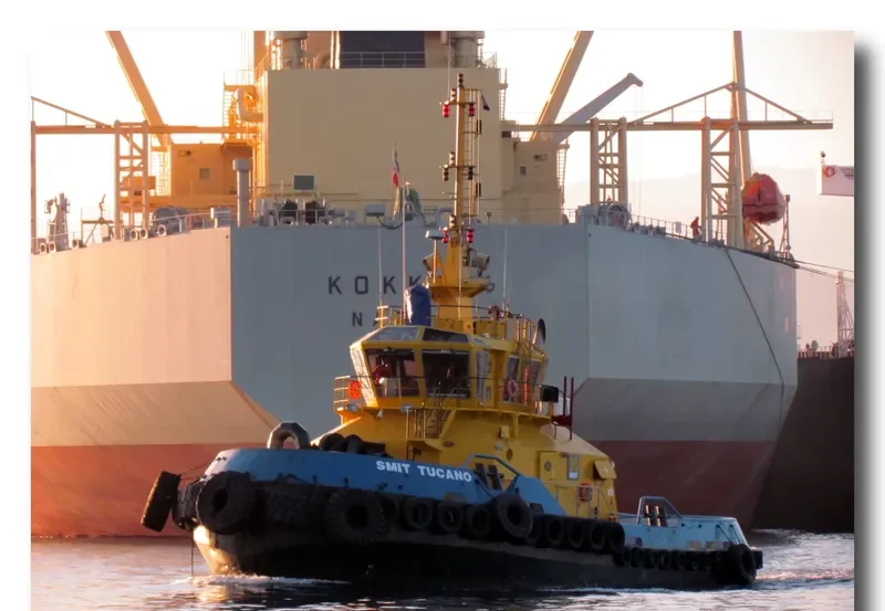 SMIT TUCANO General Cargo IMO 9449156