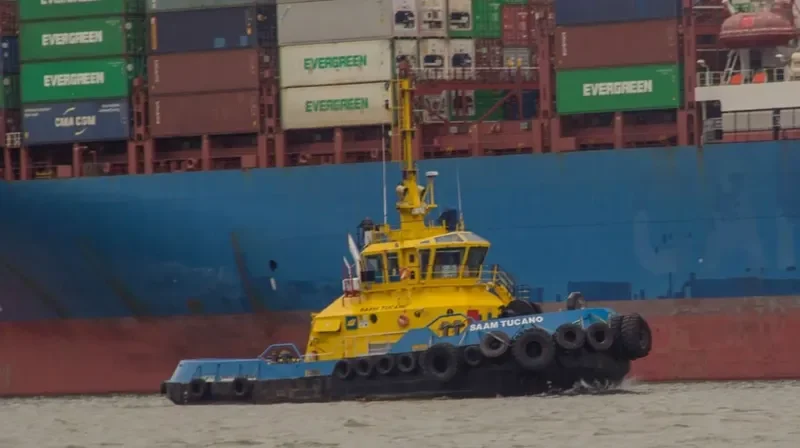 SMIT TUCANO General Cargo IMO 9449156 photo 8