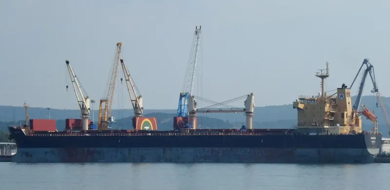 RHODOS Bulk Carrier IMO 9449247