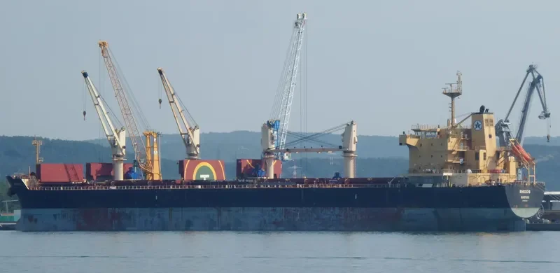 RHODOS Bulk Carrier IMO 9449247 photo 2