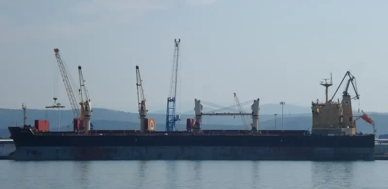 RHODOS Bulk Carrier IMO 9449247 photo 3
