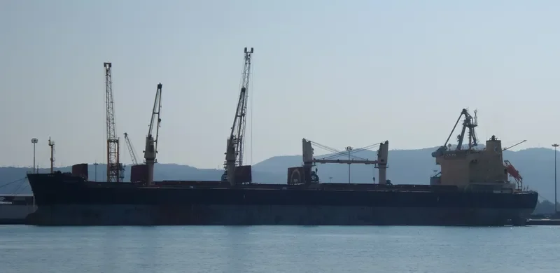 RHODOS Bulk Carrier IMO 9449247 photo 4
