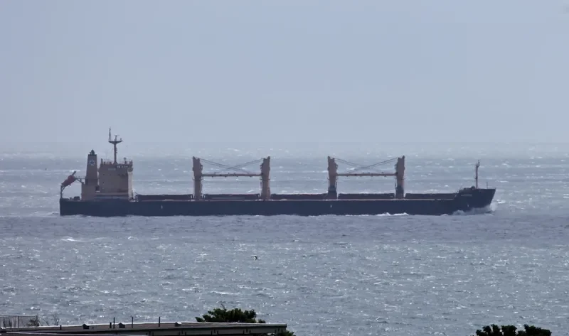 RHODOS Bulk Carrier IMO 9449247 photo 10