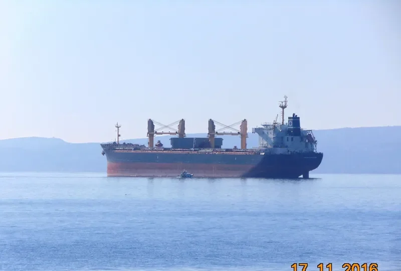 UNION EXPLORER Bulk Carrier IMO 9449259 photo 2