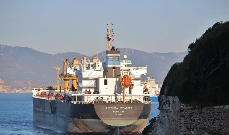UNION EXPLORER Bulk Carrier IMO 9449259 photo 5