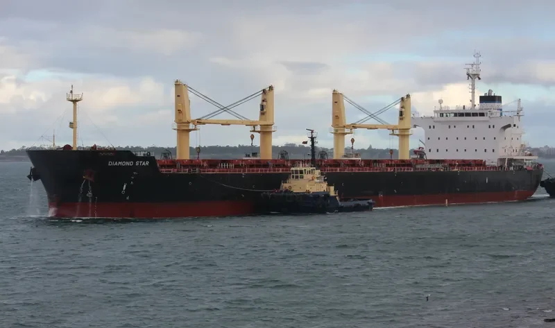 DIAMOND STAR II Bulk Carrier IMO 9449273