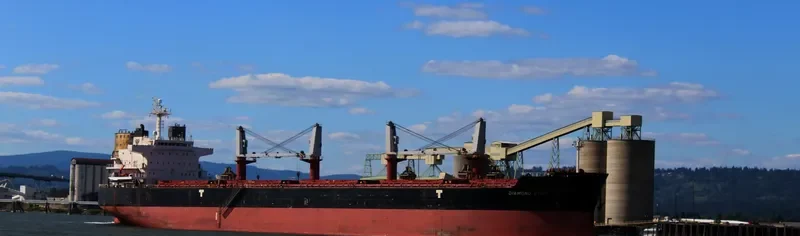 DIAMOND STAR II Bulk Carrier IMO 9449273 photo 3