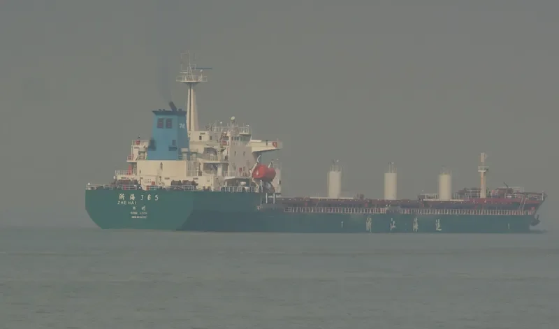 ZHE HAI 365 Bulk Carrier IMO 9449302 photo 2