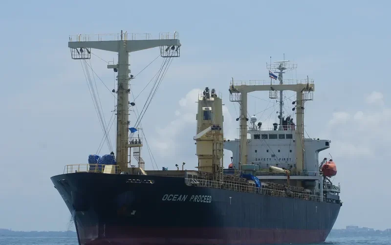 HOSEI 28 General Cargo IMO 9449314