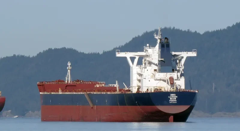 LAVENDER Bulk Carrier IMO 9449376 photo 4