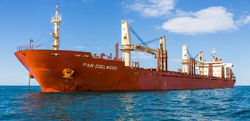 PAN EDELWEISS Bulk Carrier IMO 9449508 photo 3
