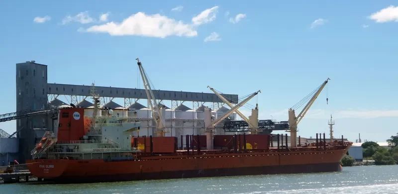 PAN GLORIS Bulk Carrier IMO 9449510 photo 6