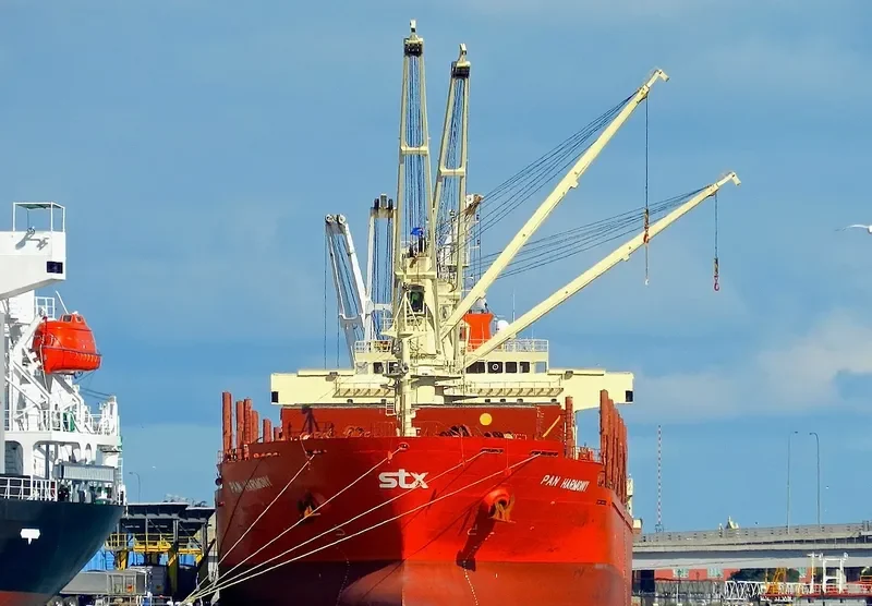PAN HARMONY Bulk Carrier IMO 9449522 photo 10