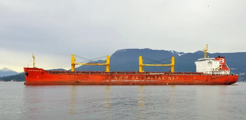KAPTAN ARIF BAYRAKTAR Bulk Carrier IMO 9449560 photo 3