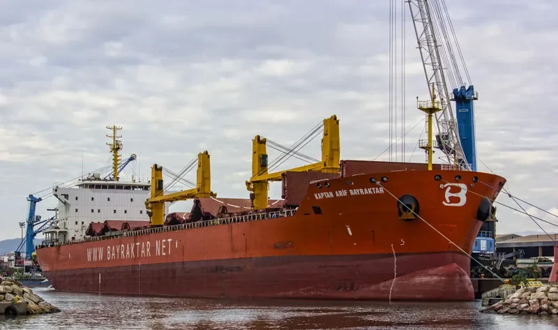 KAPTAN ARIF BAYRAKTAR Bulk Carrier IMO 9449560 photo 7