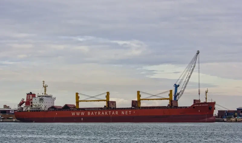 KAPTAN ARIF BAYRAKTAR Bulk Carrier IMO 9449560 photo 8