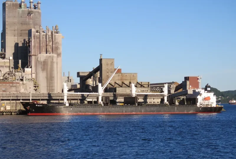 PAXI Bulk Carrier IMO 9449792 photo 3
