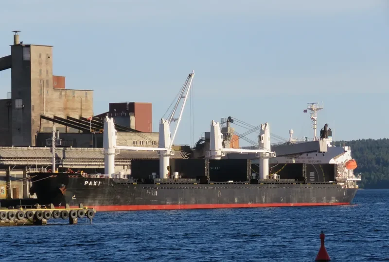 PAXI Bulk Carrier IMO 9449792 photo 4