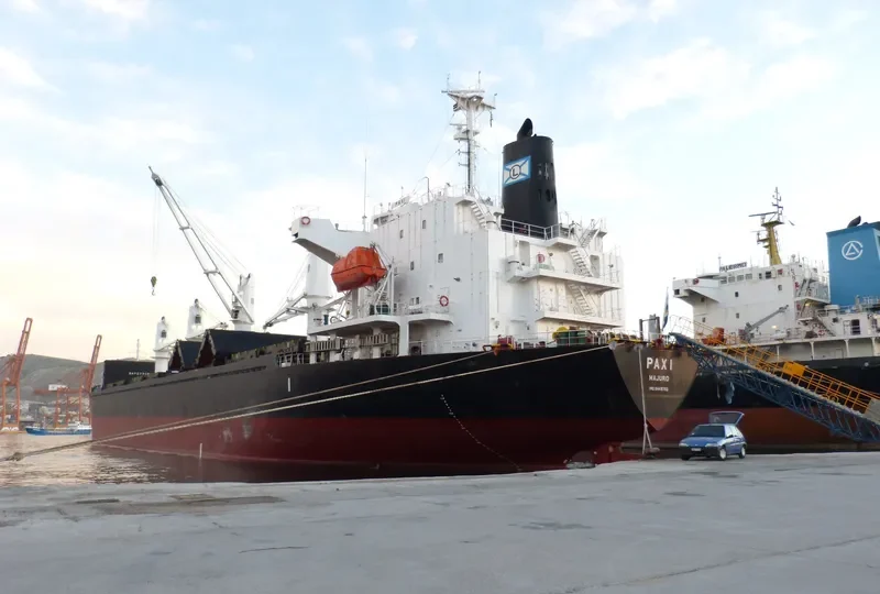 PAXI Bulk Carrier IMO 9449792 photo 5