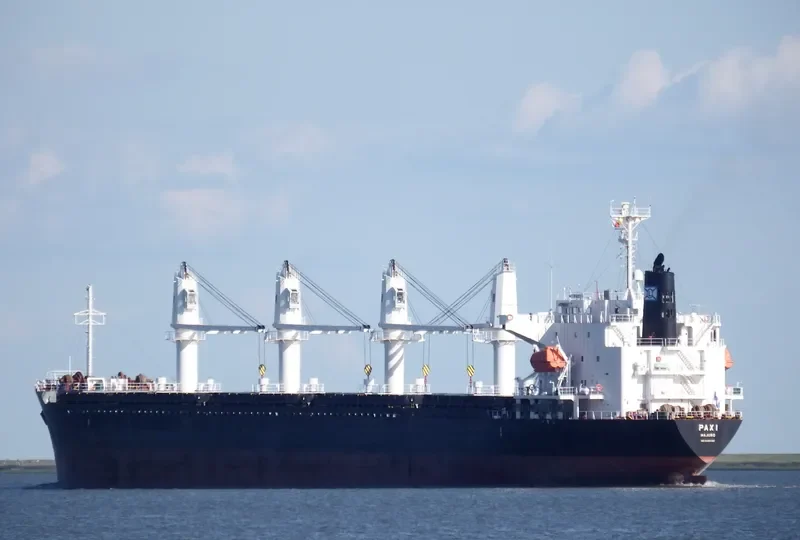 PAXI Bulk Carrier IMO 9449792 photo 7