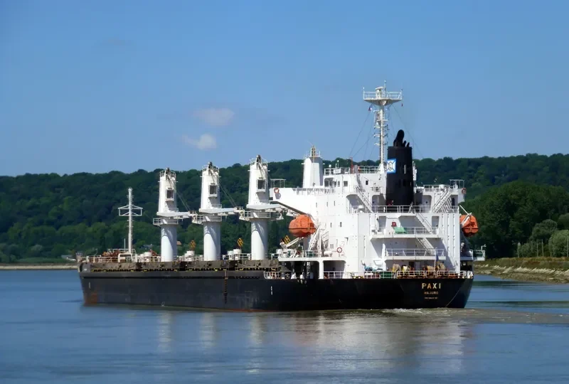 PAXI Bulk Carrier IMO 9449792 photo 9