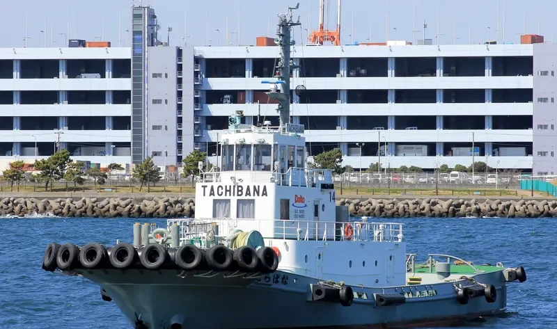TACHIBANA General Cargo IMO 9449807 photo 3