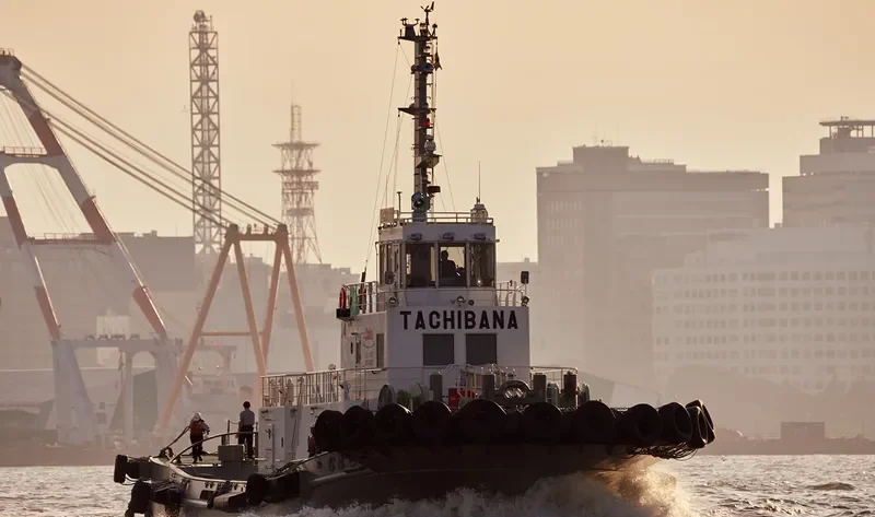TACHIBANA General Cargo IMO 9449807 photo 5