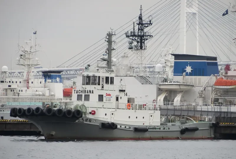 TACHIBANA General Cargo IMO 9449807 photo 8