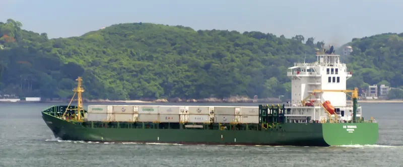 AS ROMINA Container Ship IMO 9449821 photo 6