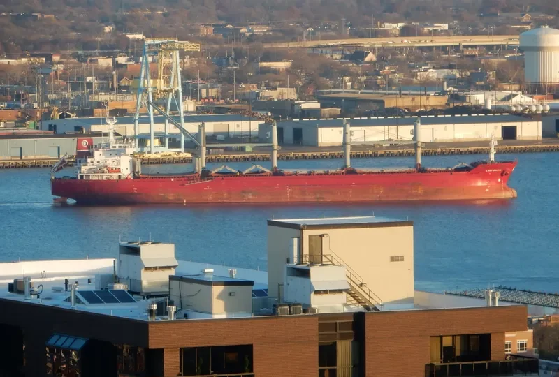 LADY SALIHA Bulk Carrier IMO 9449871