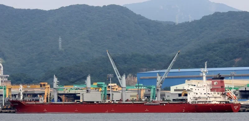 LADY SALIHA Bulk Carrier IMO 9449871 photo 3