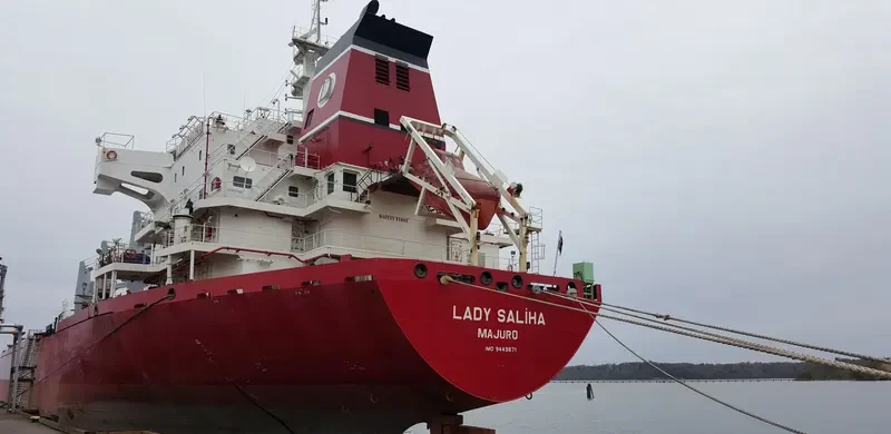 LADY SALIHA Bulk Carrier IMO 9449871 photo 6