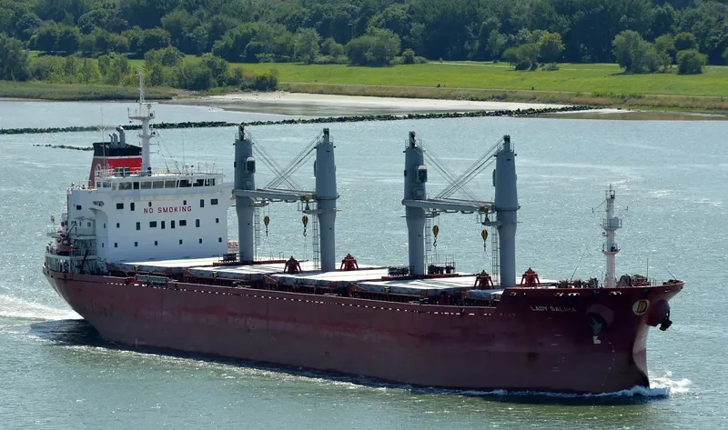LADY SALIHA Bulk Carrier IMO 9449871 photo 7