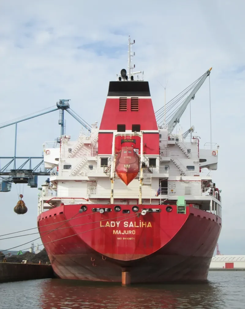 LADY SALIHA Bulk Carrier IMO 9449871 photo 8