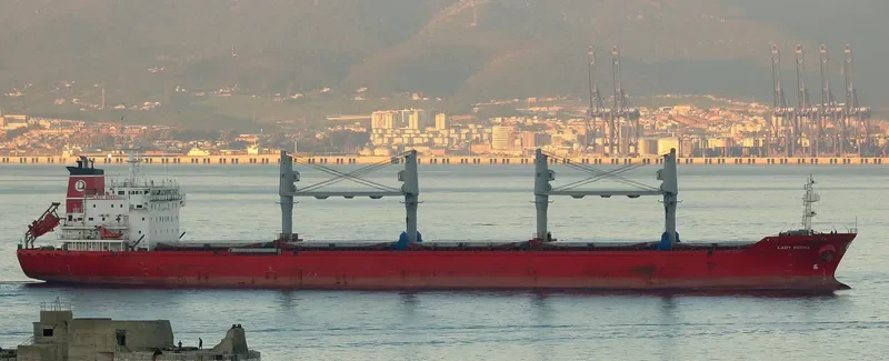 LADY SERRA Bulk Carrier IMO 9449883 photo 4