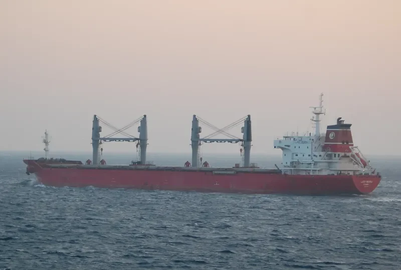 LADY SERRA Bulk Carrier IMO 9449883 photo 6