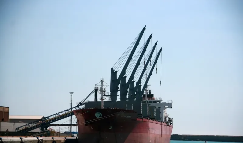 LADY SERRA Bulk Carrier IMO 9449883 photo 8