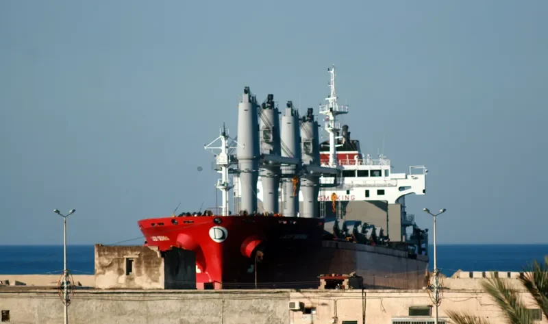 LADY SERRA Bulk Carrier IMO 9449883 photo 9