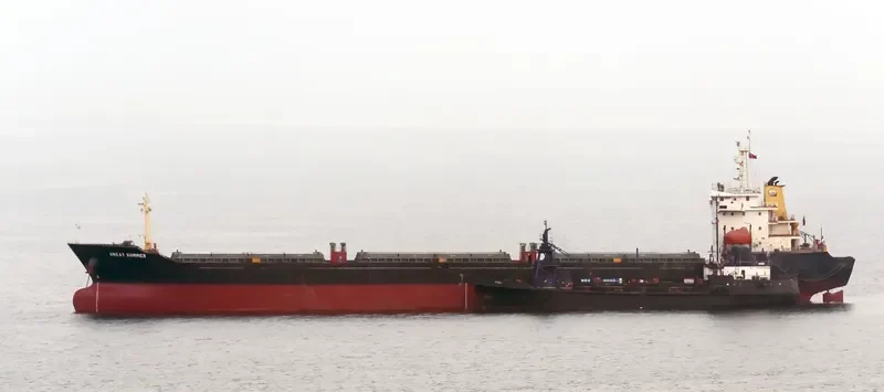 DA ZHOU XIANG Bulk Carrier IMO 9450143