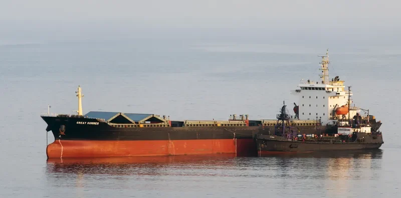 DA ZHOU XIANG Bulk Carrier IMO 9450143 photo 2