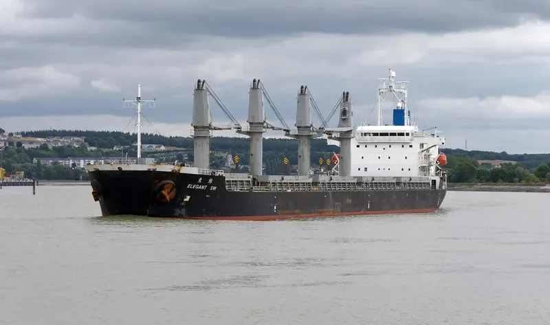 ELEGANT SW Bulk Carrier IMO 9450167 photo 4